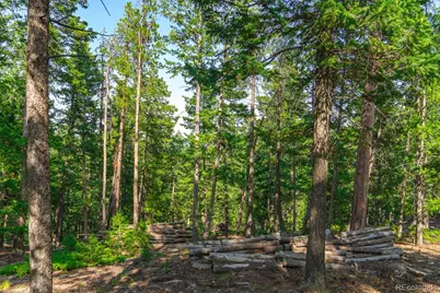 0 West Meadow Road, Evergreen, CO 80439 - Photo 24