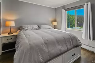 301 N French St, Breckenridge, CO 80424 - Photo 14