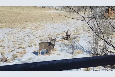 2387 Buffalo Ridge Road, Como, CO 80432 - Photo 40