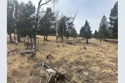 1421 Pitchfork Road, Hartsel, CO 80449 - Photo 14