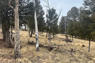 1421 Pitchfork Rd, Hartsel, CO 80449 - Photo 1