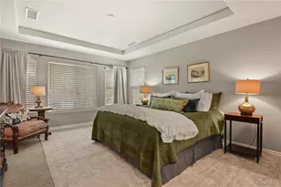 11043 Grayledge Cir, Highlands Ranch, CO 80130 - Photo 20
