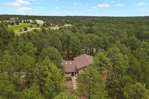 18675 St Andrews Dr, Monument, CO 80132 - Photo 38