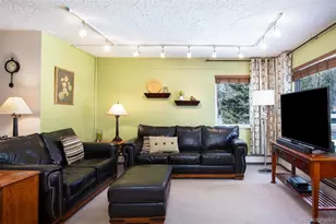 101 Ryan Gulch Ct, Silverthorne, CO 80498 - Photo 8