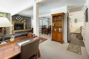 101 Ryan Gulch Ct, Silverthorne, CO 80498 - Photo 4