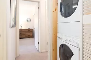 101 Ryan Gulch Ct, Silverthorne, CO 80498 - Photo 20