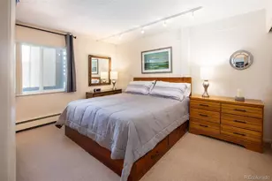 101 Ryan Gulch Ct, Silverthorne, CO 80498 - Photo 16