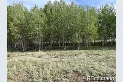 1599 Campfire Road, Hartsel, CO 80449 - Photo 22