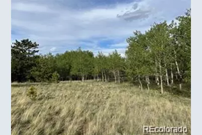 1599 Campfire Road, Hartsel, CO 80449 - Photo 34