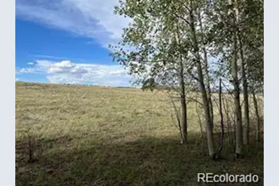 1599 Campfire Road, Hartsel, CO 80449 - Photo 24