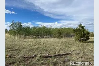 1599 Campfire Road, Hartsel, CO 80449 - Photo 2