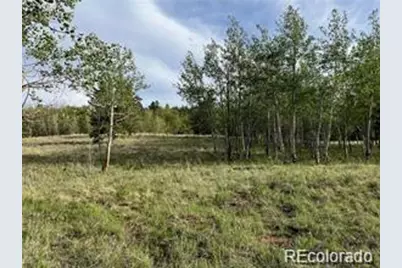 1599 Campfire Road, Hartsel, CO 80449 - Photo 26