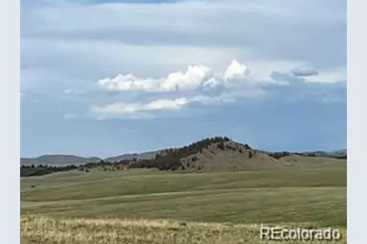 1599 Campfire Road, Hartsel, CO 80449 - Photo 28