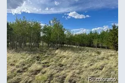 1599 Campfire Road, Hartsel, CO 80449 - Photo 16