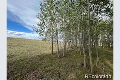 1599 Campfire Road, Hartsel, CO 80449 - Photo 20