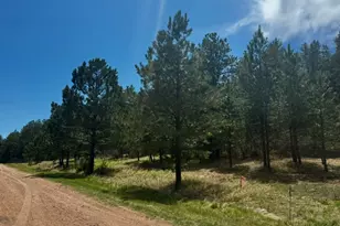 7707 Inca Rd, Larkspur, CO 80118 - Photo 1