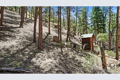 25776 County Road 126, Sedalia, CO 80135 - Photo 12