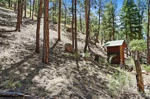 25776 County Road 126, Sedalia, CO 80135 - Photo 12