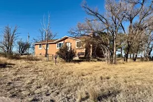 1778 Co Rd 2B, Rush, CO 80833 - Photo 2