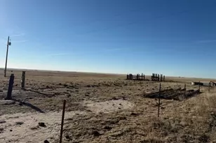 1778 Co Rd 2B, Rush, CO 80833 - Photo 8
