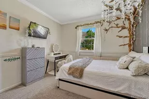 303 Gordon Dr, Castle Rock, CO 80104 - Photo 28