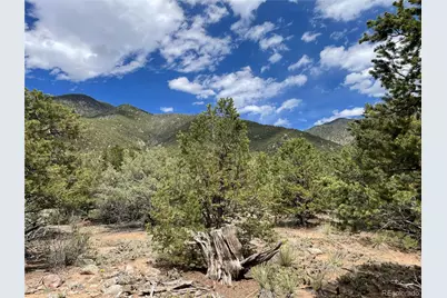 4286 Fallen Tree, Crestone, CO 81131 - Photo 1