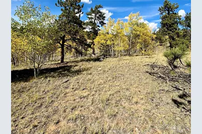 890 McDowell Drive, Jefferson, CO 80456 - Photo 6