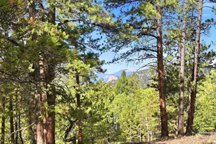 000 Molly Dr, Conifer, CO 80433 - Photo 1