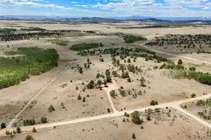 1689 Grand Teton Dr, Hartsel, CO 80449 - Photo 32