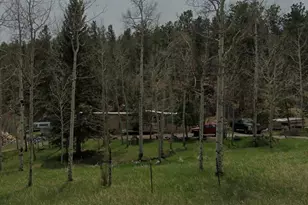 714 N Pine Dr, Bailey, CO 80421 - Photo 1