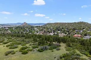 220 Ash Ave, Castle Rock, CO 80104 - Photo 40