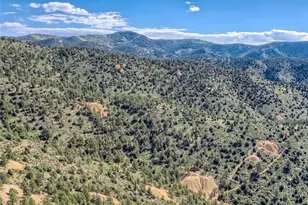 Lot 1 Eagle Mining Claim, Dumont, CO 80436 - Photo 1