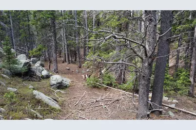000 Brook Drive, Idaho Springs, CO 80452 - Photo 14