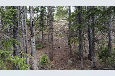 000 Brook Drive, Idaho Springs, CO 80452 - Photo 12