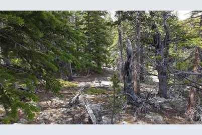 000 Brook Drive, Idaho Springs, CO 80452 - Photo 18