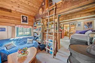 21555 Spring Creek Rd, Buffalo Creek, CO 80425 - Photo 22