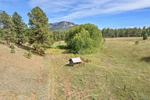 21555 Spring Creek Rd, Buffalo Creek, CO 80425 - Photo 36