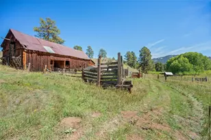 21555 Spring Creek Rd, Buffalo Creek, CO 80425 - Photo 28