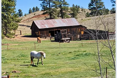 21555 Spring Creek Road, Buffalo Creek, CO 80425 - Photo 30
