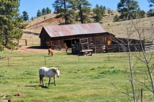 21555 Spring Creek Rd, Buffalo Creek, CO 80425 - Photo 30