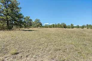 21555 Spring Creek Rd, Buffalo Creek, CO 80425 - Photo 32