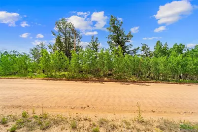 94 & 146 Cr-403, Florissant, CO 80816 - Photo 22