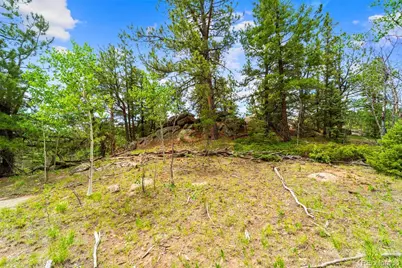 94 & 146 Cr-403, Florissant, CO 80816 - Photo 24