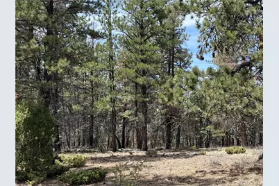 Lot 152 Tahmoush Lane, Fort Garland, CO 81133 - Photo 4