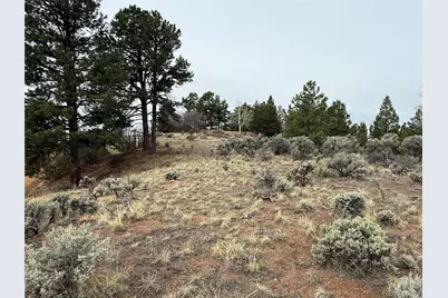 Lot 152 Tahmoush Lane, Fort Garland, CO 81133 - Photo 10