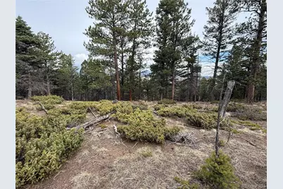 Lot 152 Tahmoush Lane, Fort Garland, CO 81133 - Photo 22