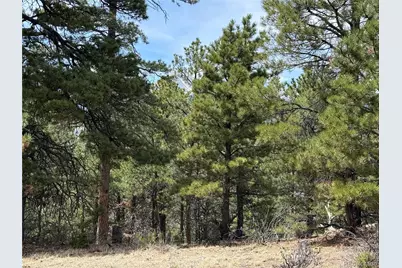Lot 152 Tahmoush Lane, Fort Garland, CO 81133 - Photo 2