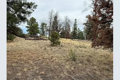 Lot 152 Tahmoush Lane, Fort Garland, CO 81133 - Photo 20
