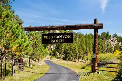 37392 County Road 77, Lake George, CO 80827 - Photo 2