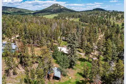 10893 Milliken Avenue, Conifer, CO 80433 - Photo 44